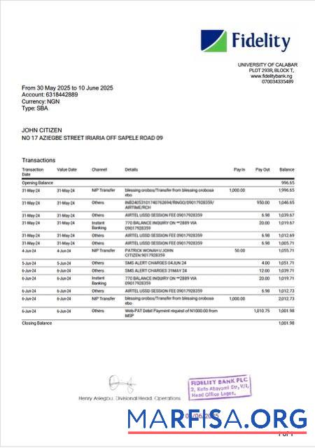 Downloadable Nigerienia Fidelity bank statement word version 2 template